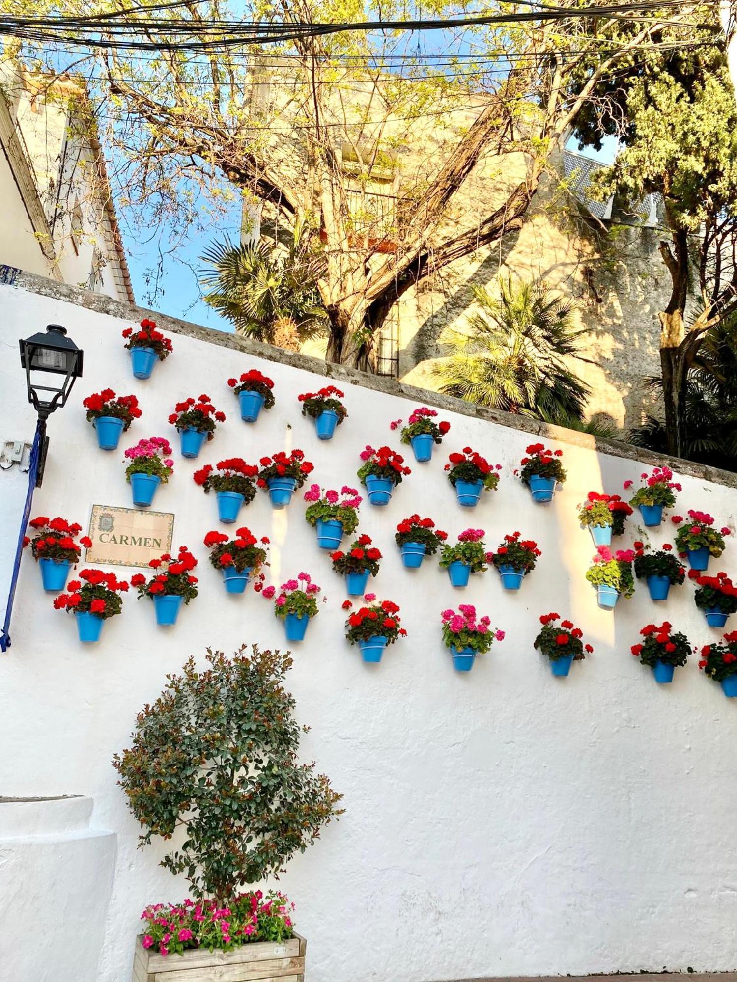 Studio Oasis In 2º Line Beach In The Centre Of Marbella - Eaw Homes Luaran gambar